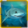 IconSharkAnim0001.png