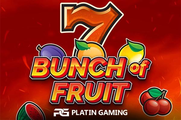 Bunch Of Fruit