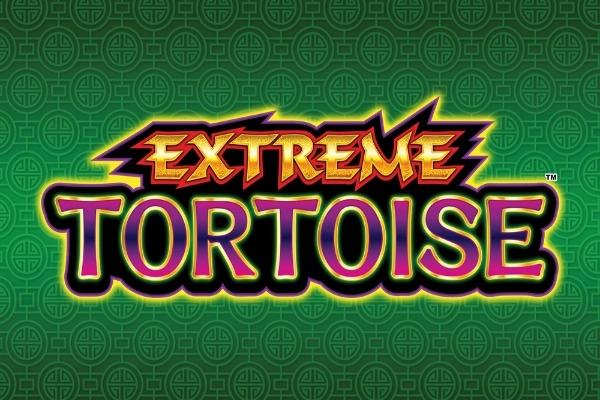 Extreme Tortoise