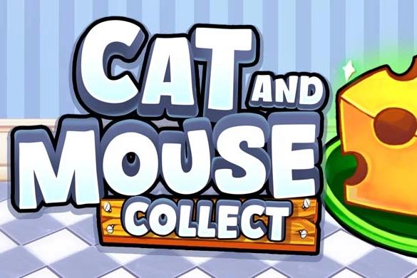 Cat and Mouse: Collect