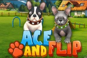 Ace and Flip