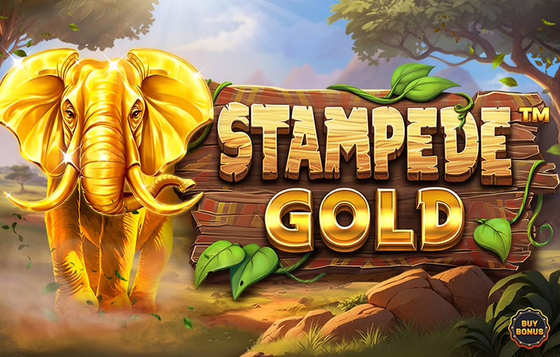 Stampede Gold slot by Betsoft