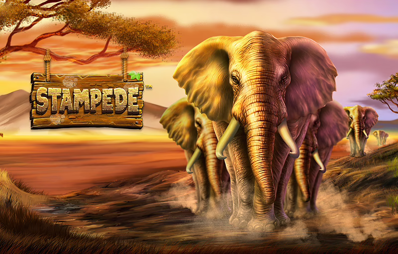 Stampede slot by Betsoft