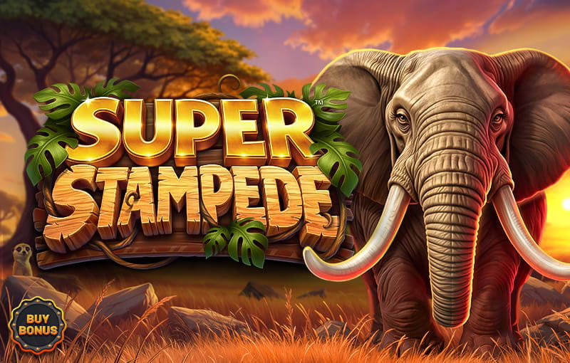 Super Stampede slot by Betsoft