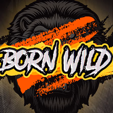 Born Wild slot by Hacksaw Gaming - 20% RTP