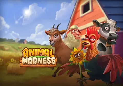 Animal Madness slot by Play'n GO