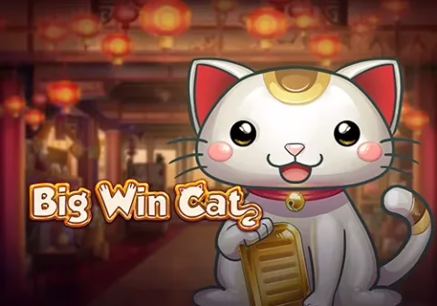 Big Win Cat slot by Play'n GO