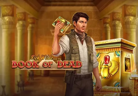 Book of Dead slot by Play'n GO - 94.25% RTP