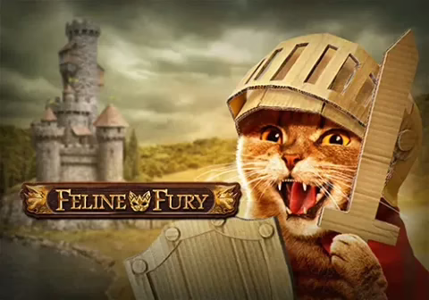 Feline Fury slot by Play'n GO