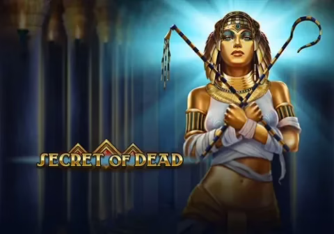 Secret of Dead slot by Play'n GO