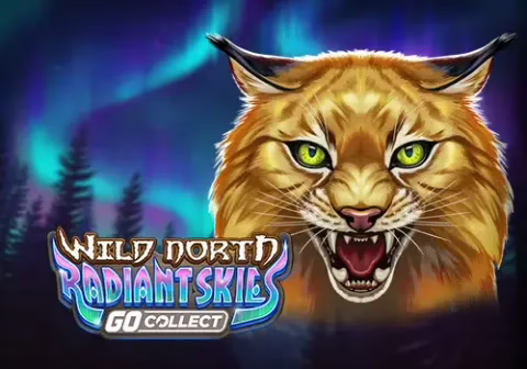 Wild North Radiant Skies GO Collect slot by Play'n GO