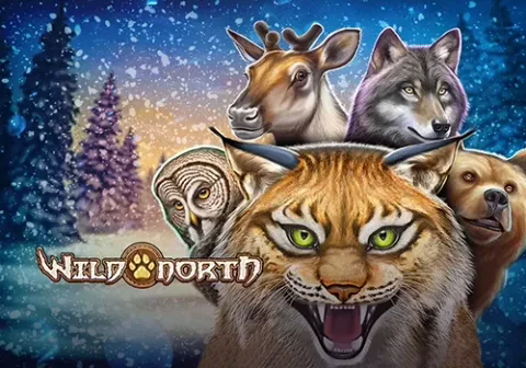 Wild North slot by Play'n GO