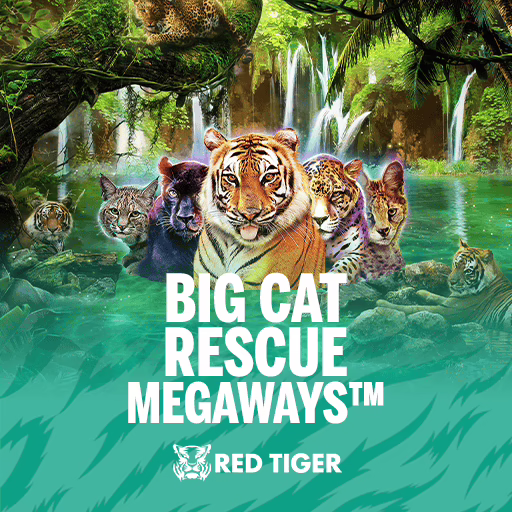 Big Cat Rescue Megaways slot by Red Tiger Gaming