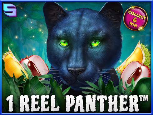 1 Reel Panther slot by Spinomenal - 95.42% RTP