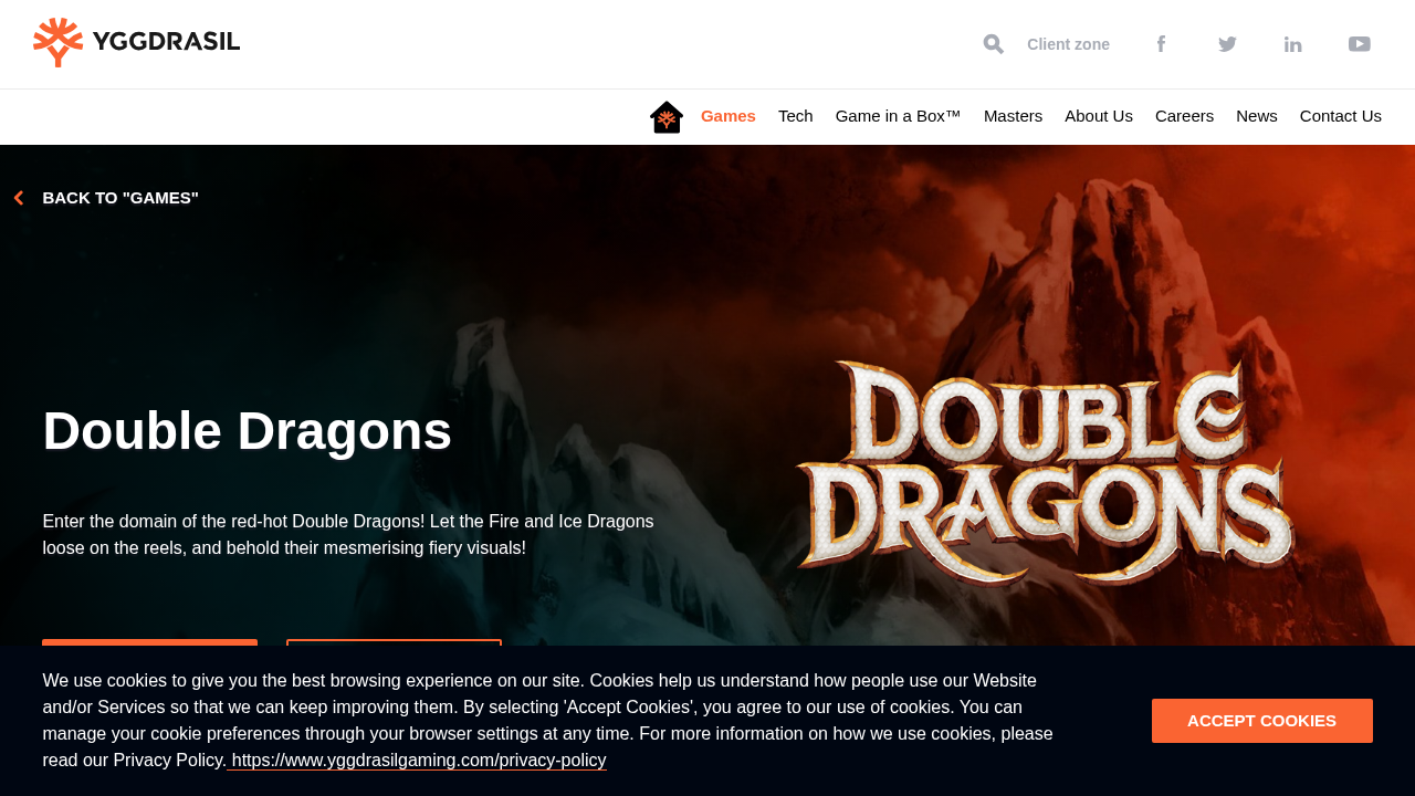 Double Dragons screenshot 1